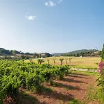 Sant Patrici (adults Only)