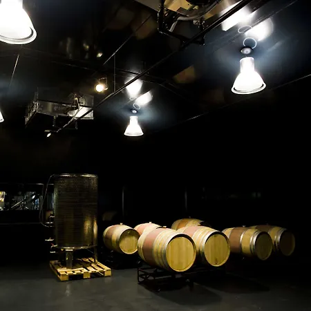 Rural Sant Patrici (adults Only)