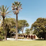 Sant Patrici (adults Only)