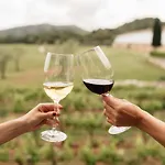 Sant Patrici (adults Only) 3*