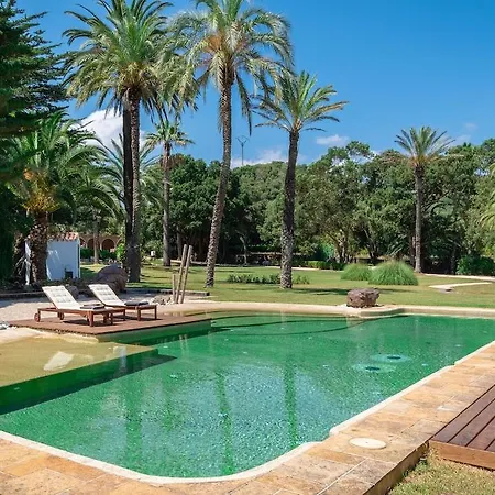 Rural Sant Patrici (adults Only) フェレリエス