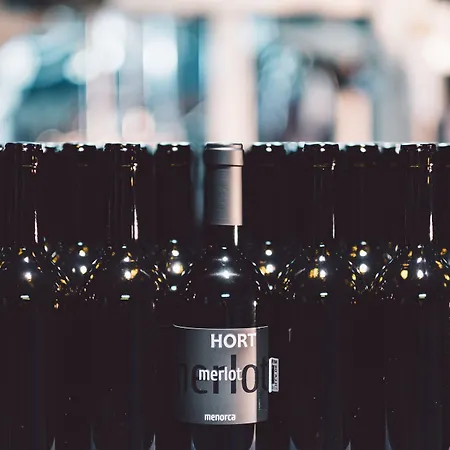 Hotel Rural Sant Patrici (adults Only) Ferreries