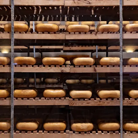 Rural Sant Patrici (adults Only)