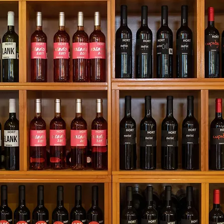 Rural Sant Patrici (adults Only) Otel Ferreries