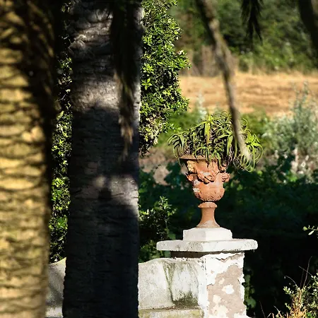 Rural Sant Patrici (adults Only) 3* Ferreries