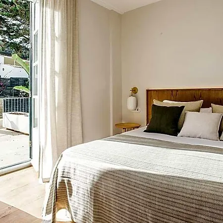 Sant Patrici (adults Only)
