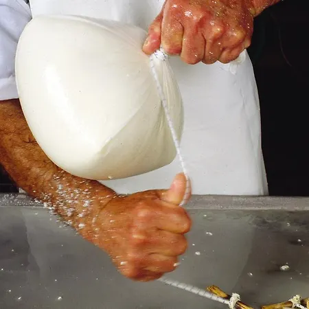 Otel Rural Sant Patrici (adults Only) 3*