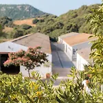 Sant Patrici (adults Only) 3*