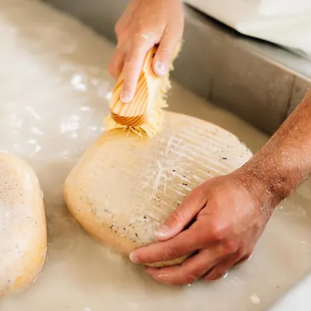 Rural Sant Patrici (adults Only) Hotel