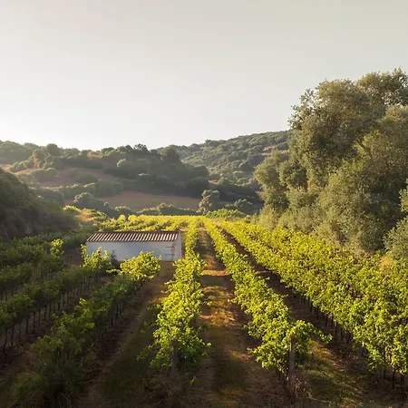 Rural Sant Patrici (adults Only) Hotel Ferreries